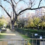 Police are investigating whether one of the girls from Jaen drove the other to commit suicide