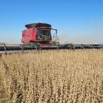 Collections fell by more than 8% in November, leading to an inflationary effect