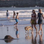 Holidays, holidays, long weekends and all holidays of the month