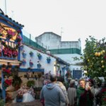 When the poinsettia shines and the first gypsies are planted