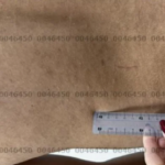 Examination of correspondence shows injuries during femicide that killed corporal