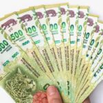 Federico Glustein on the demand for the peso: “January will be more complicated than December”