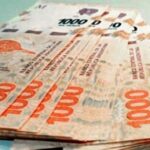 Marcelo Rodriguez: “There has been a very noticeable decline in the real values ​​of collection”