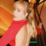 ‘Democratic, elegant and good-looking’