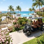 Offering micromobility at resorts and entertainment venues | Dino