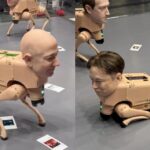 Robots with the faces of Elon Musk and Jeff Bezos “taking” photos