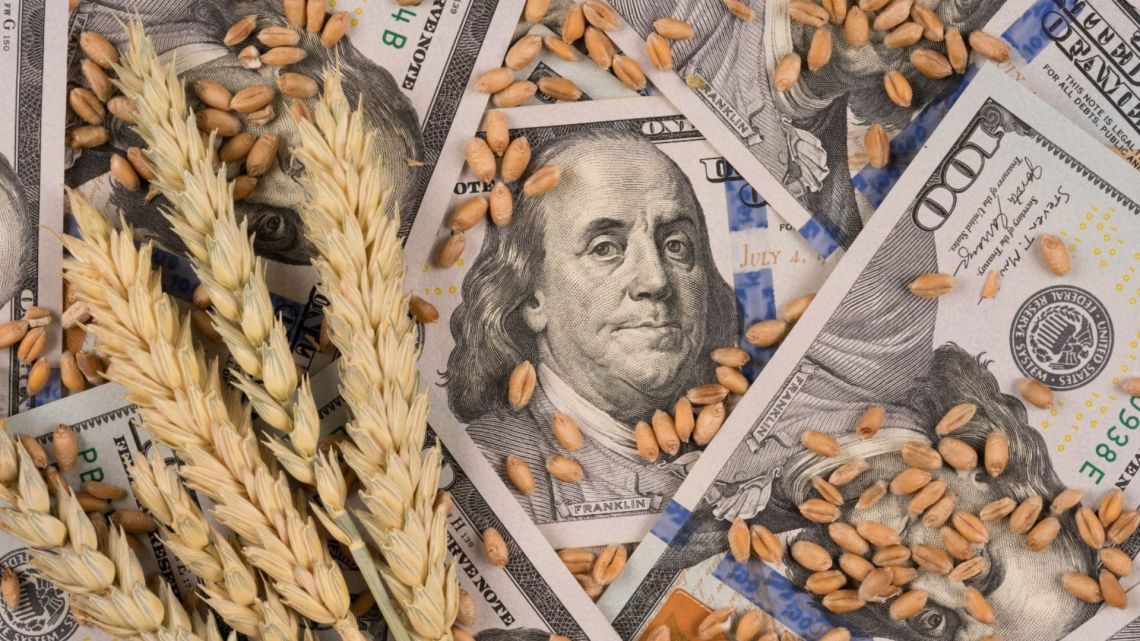 soja-dolares-trigo-2018326.jpg