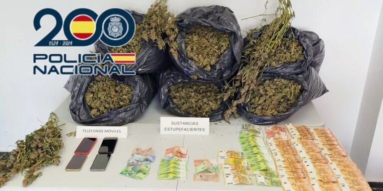 suceso-petrer-marihuana-U02532580473mrR-1024x512@diario_abc.jpg