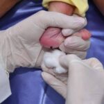 Pezinho’s test will have changes in the overall network of DF. Understands