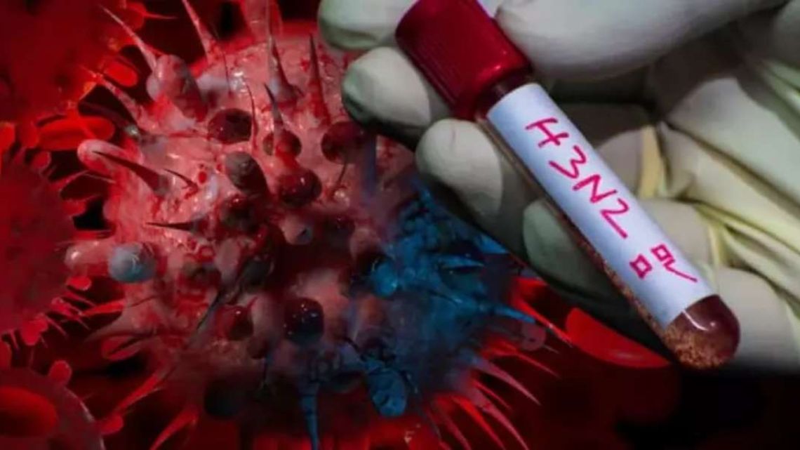 todos-los-detalles-sobre-la-nueva-gripe-h3n2-2158993.jpg