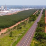 trecho-de-rodovia-da-rota-da-celulose-no-mato-grosso-do-sul-div-governo-do-ms.jpg