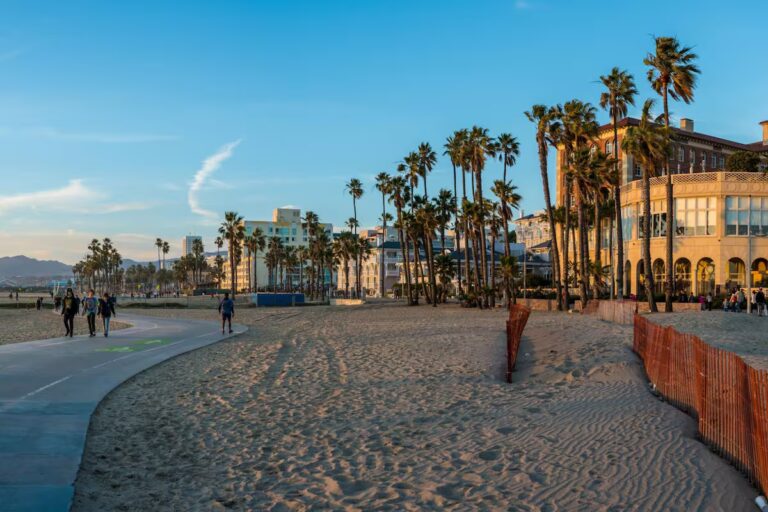 venice-beach-es-conocida-como-la-ciudad-de-27WLGEPPMJBURCWYYEB5SWTIQA.jpg