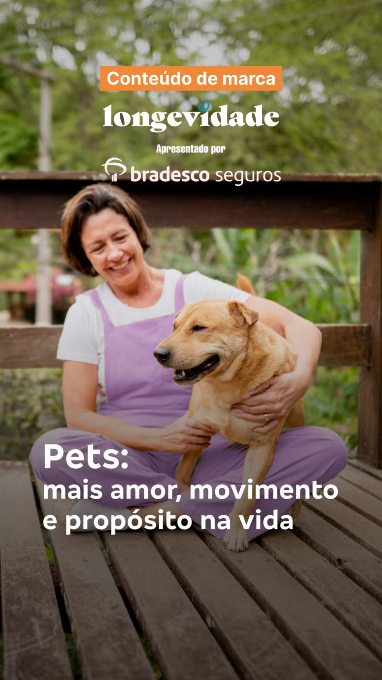 webstories-54-bradesco-01.png