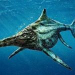 The discovery of a strange species 190 million years old astonishes science