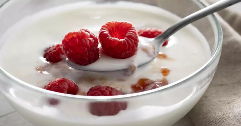 yogurt-with-raspberries-high-angle-u85nux5vkz8m.jpg
